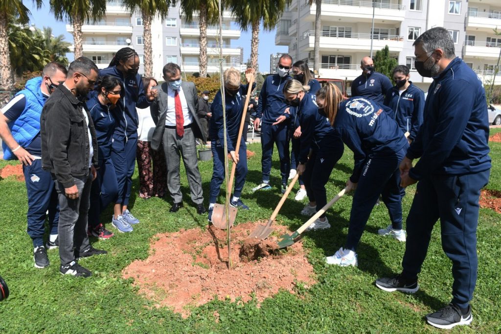 Mimozalar Yenişehir’de toprakla buluştu