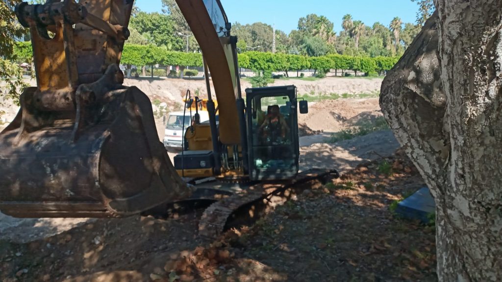Ağaç katliamı sürüyor… AKP’li meclis üyesi: Buradan size ekmek çıkmaz!