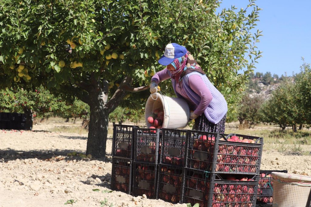 Gülnar’ın elması artık daha güvenli taşınacak