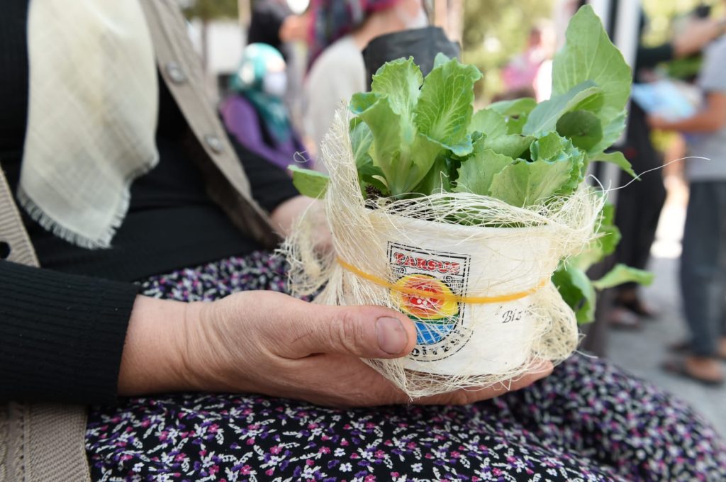 Hormonsuz yiyecek, zehirsiz mutfak için 20 milyon ata tohumu topladılar