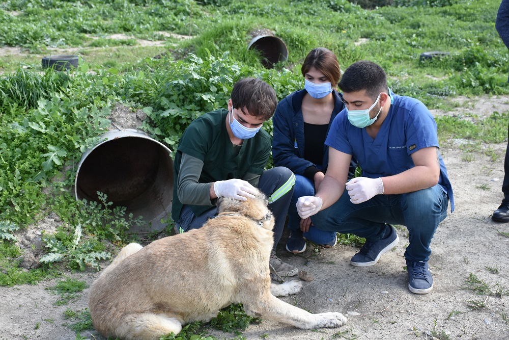 Silahla vurulan can dost emin ellerde