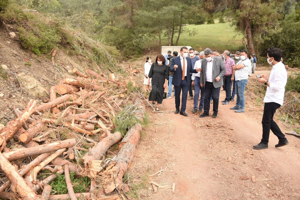 Emirler köyündeki ormanlık alanda ağaç kesimi sürüyor: Katliam gibi!