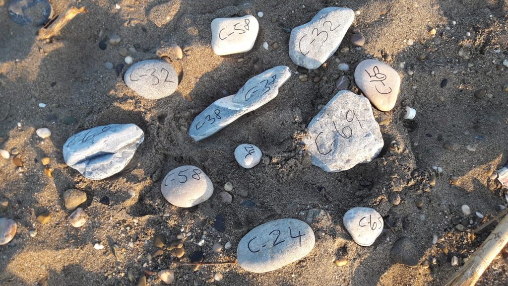 Hayatını kaplumbağa yuvalarını korumaya adadı