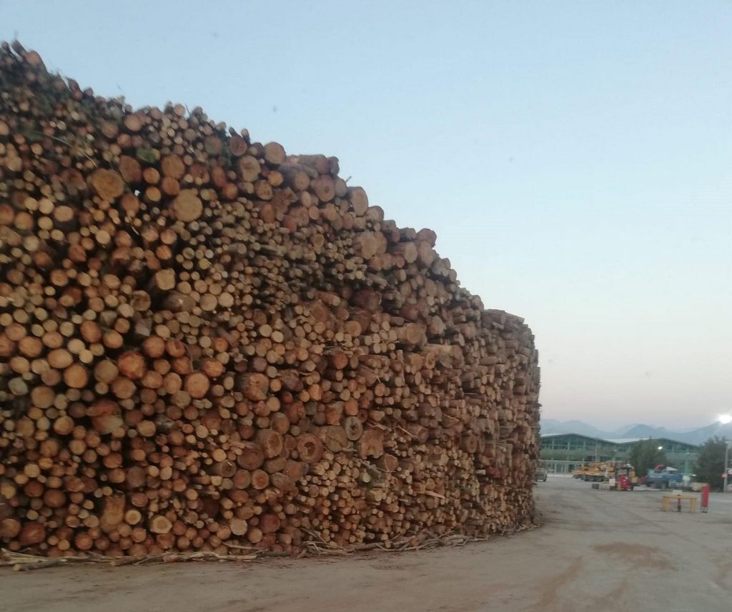 Bu görüntü isyan ettirdi