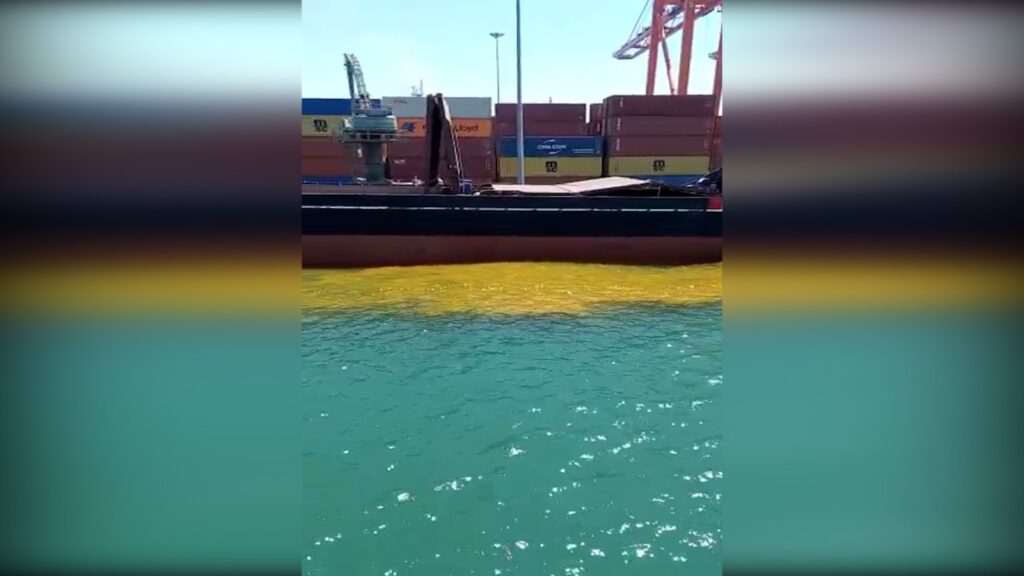 Belediye kirliliği affetmedi. Bu görüntü gemi sahibine 1 milyon 355 bin liraya patladı