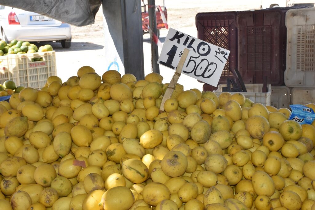 Mersin ve Adana’nın Ekim ayı enflasyonu yüzde 19,88 oldu