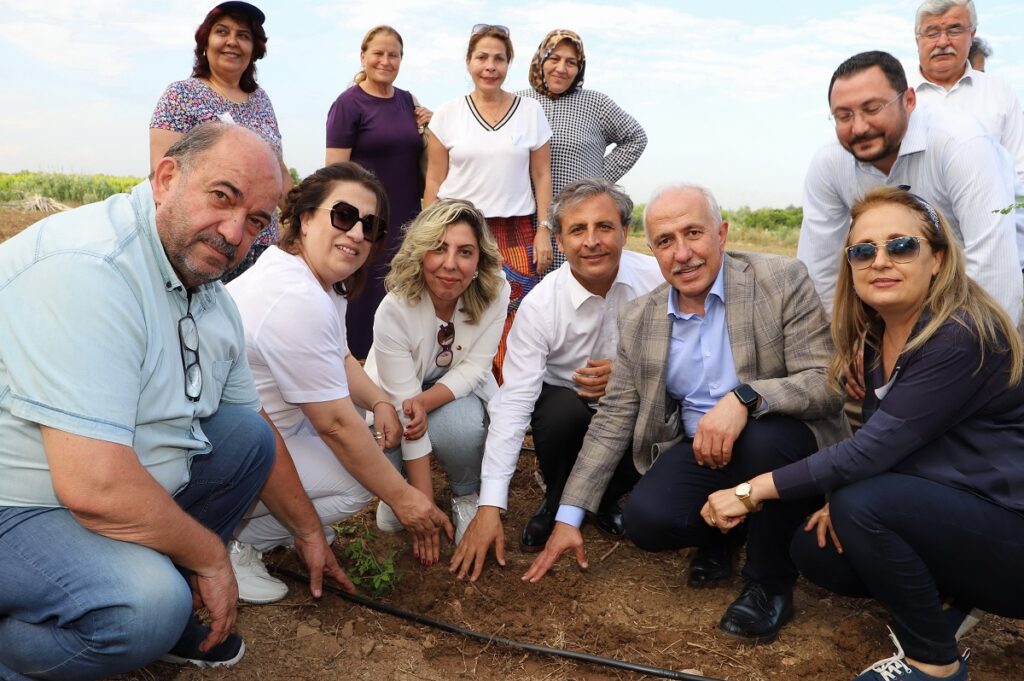 Akdeniz’de şeker otu bitkisi yetiştirilecek