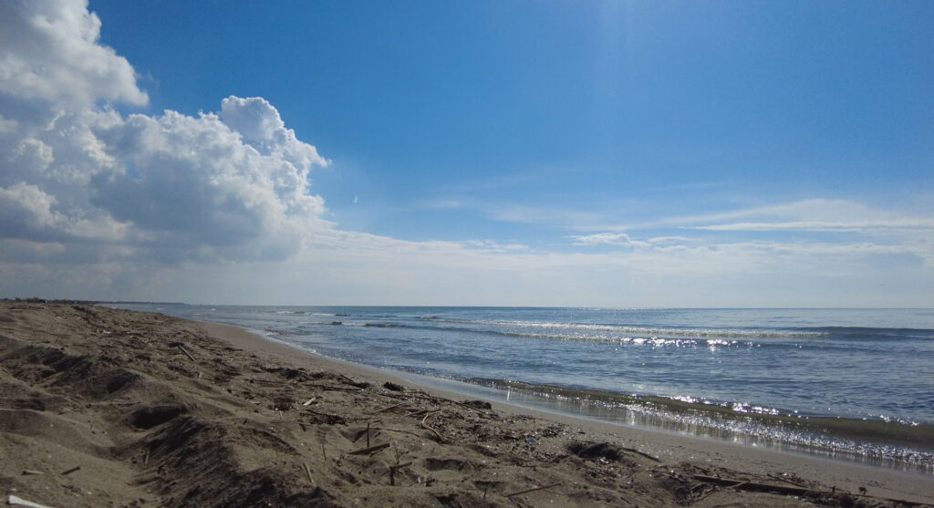 Tarsus, plajına kavuşuyor