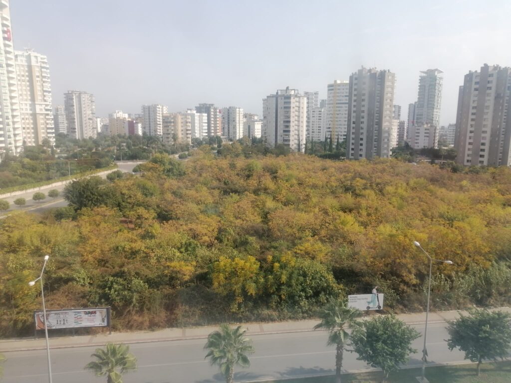 Bu narenciye bahçesi de AVM olacak