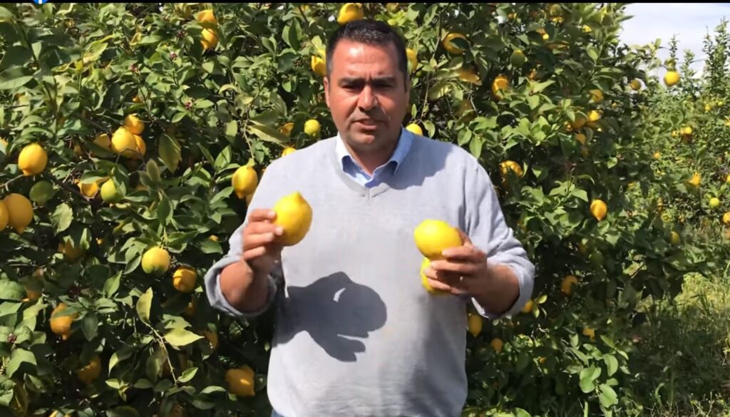 Gazetecinin limon isyanı: Yazık