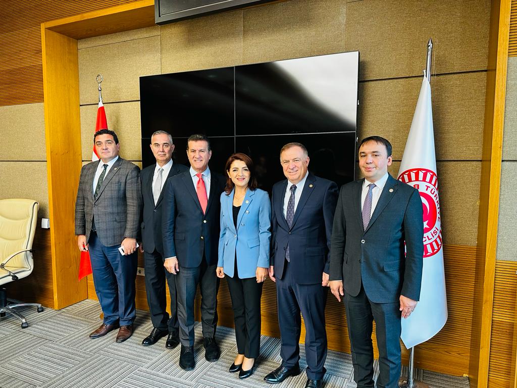 Gülcan Kış’a TBMM’de önemli görev