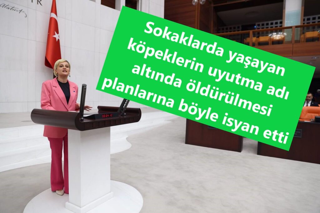 “Kana susamış şekilde kurban istiyorsunuz”