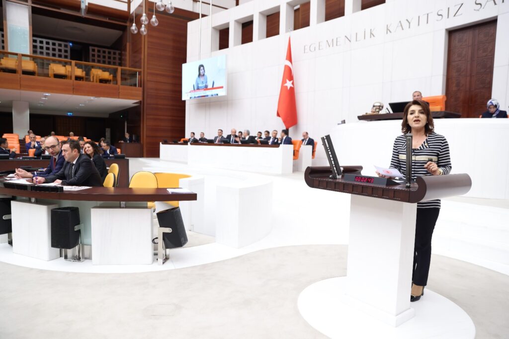 CHP’li Gülcan Kış’tan hakkaniyetli, adil vergi çağrısı