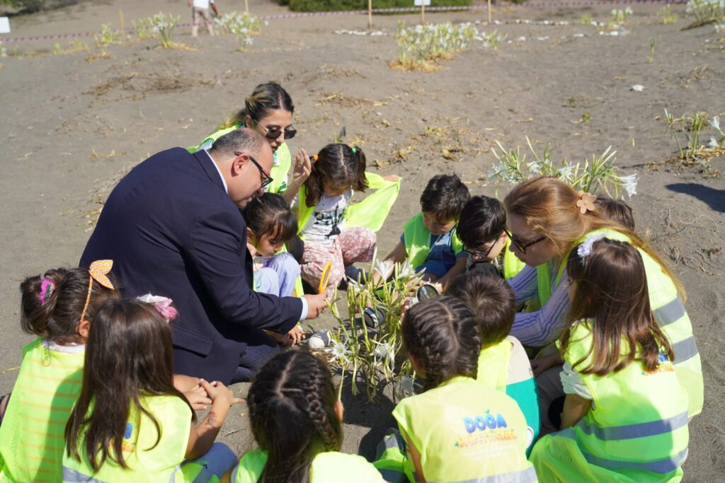 Minikler kum zambaklarını koruma altına aldı