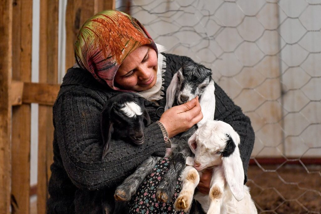 Tarıma can suyu Mersin Büyükşehir’den