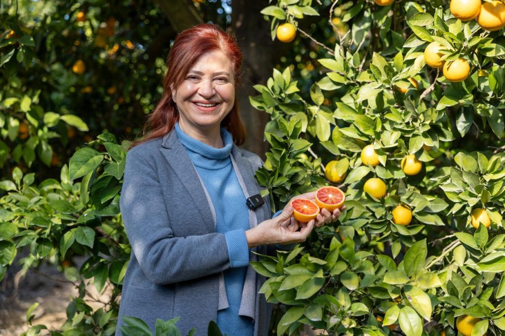 O ürünün Mersin’e ait olduğu tescil edildi