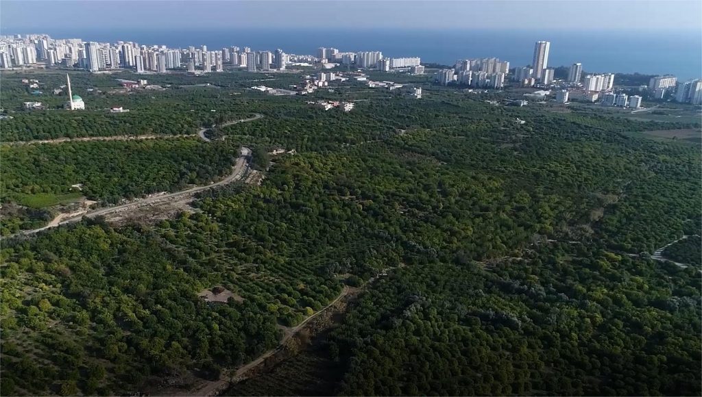 Mersin’in son narenciye alanı şimdi de organize tarım ve hayvancılık bölgesi yapılmak isteniyor